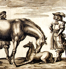Winter, 1672 Mare and Foal